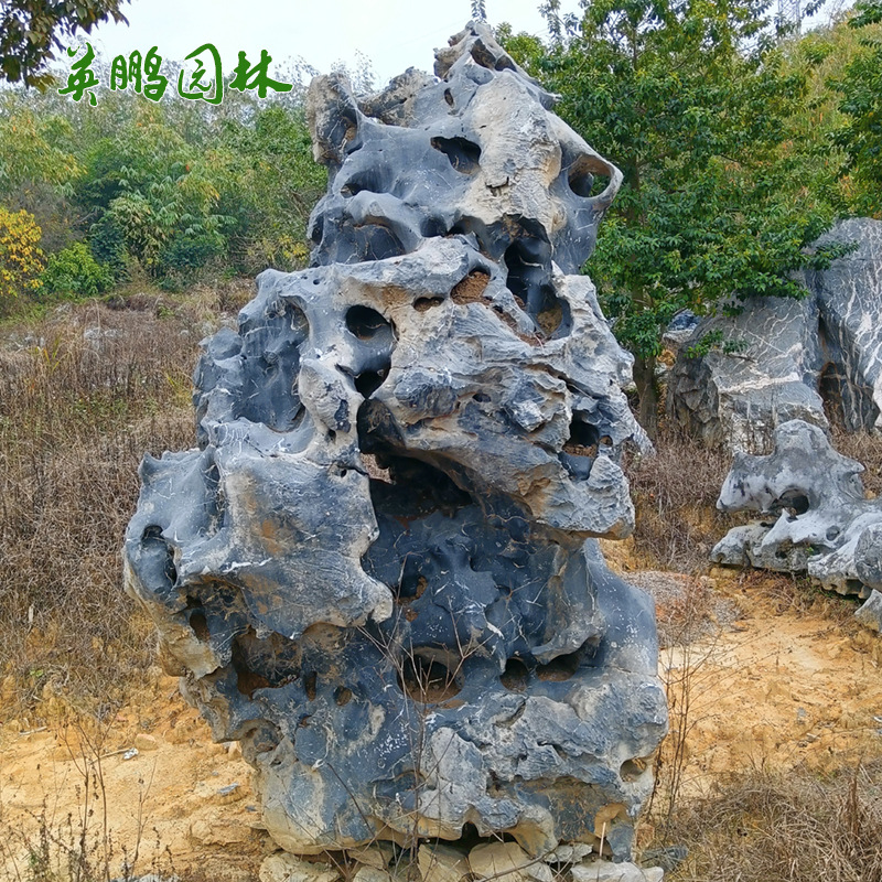 英鹏园林造型太湖石 庭院造景 湖石园林点缀石