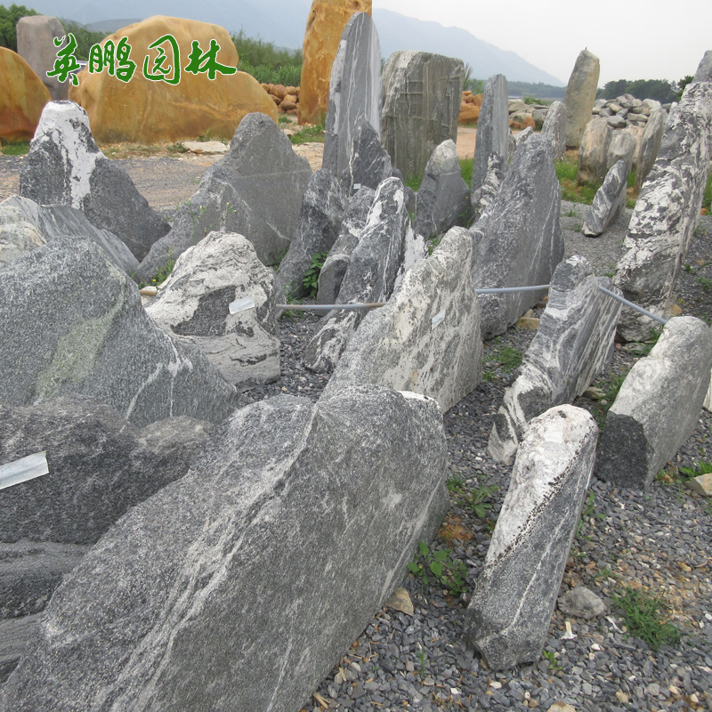 大型雪浪石 英鹏园林花纹刻字石厂家批发 学校校训石海浪石泰山
