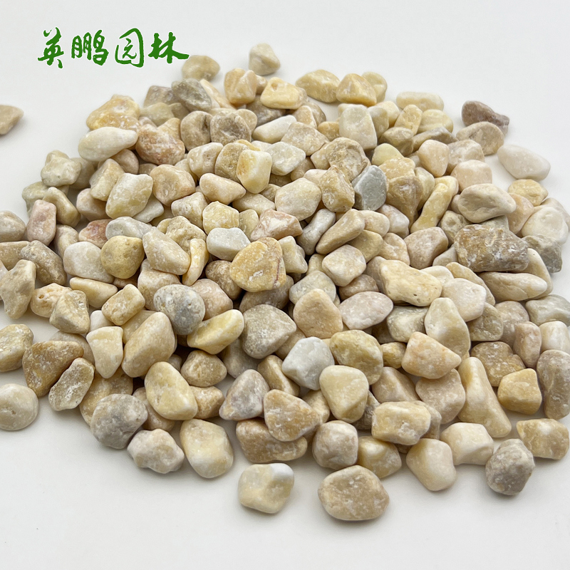 机制黄色石子 米黄水磨圆角 庭院造景铺路浅黄石米英鹏砾石厂批