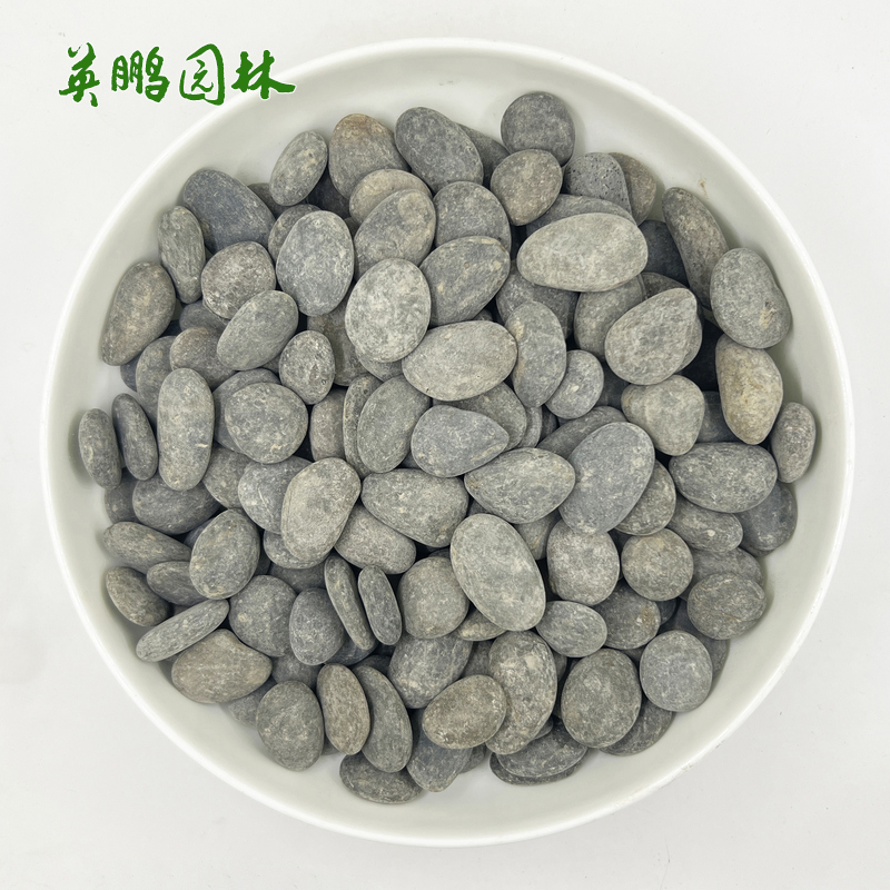 英鹏黑色鹅卵石 园艺装饰布景铺路石子 货源充足