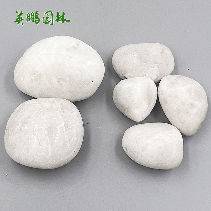 别墅庭院彩色鹅卵石 园林景观装饰五彩抛光白雨花石 40斤/袋