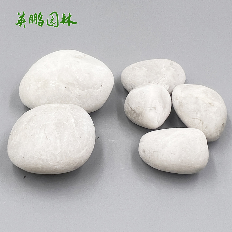 工厂供应 DIY绘画石 白色鹅卵石原石 可以作画的石头