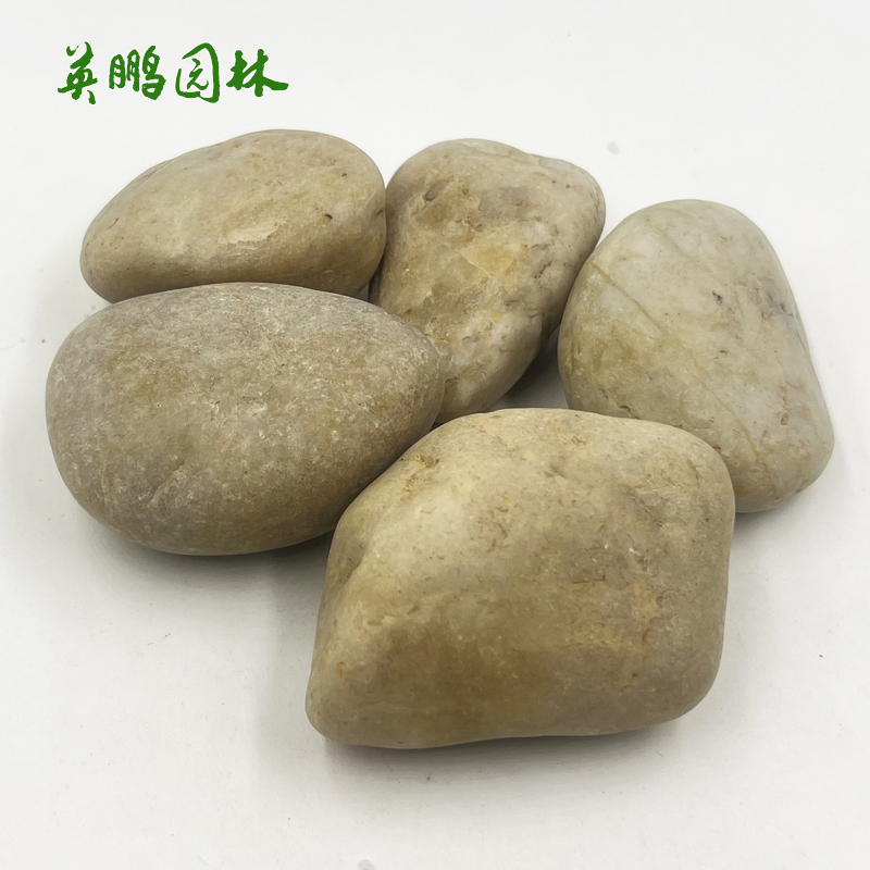  英鹏园林黄色抛光雨花石 庭院造景鹅卵石 景观装饰用河石子