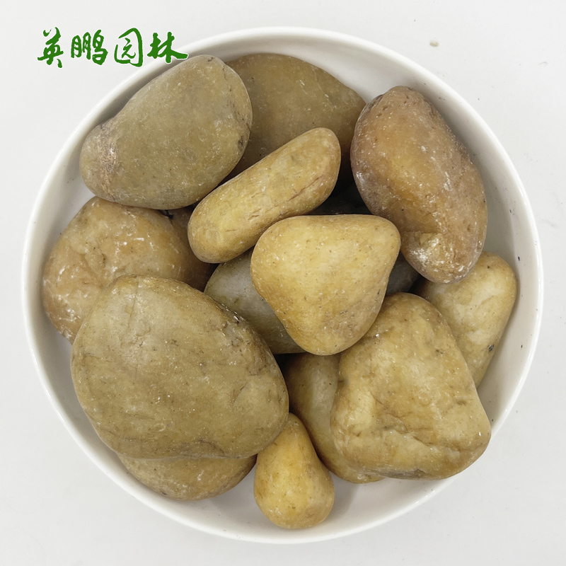 大小鹅卵石 庭院铺面园林石黄色雨花石 不规则石材