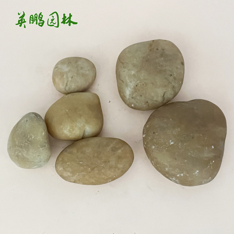 供应抛光雨花石 机制普抛鹅卵石 黄色景观工程铺路卵石
